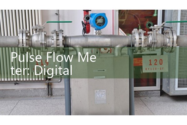 Pulse Flow Meter: Digital Signal Output Fluid Instruments